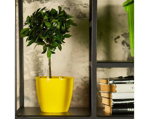 Flowerpot "Matilda" 7x 6cm (dark yellow)