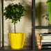 Flowerpot "Matilda" 7x 6cm (dark yellow)
