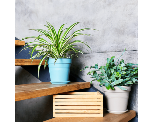 Flowerpot "Gloria" with tray 23,1x22,1cm (gray blue)