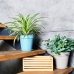 Flowerpot "Gloria" with tray 23,1x22,1cm (gray blue)