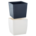 Flowerpot "Quadro" low with insert 27x27x26cm (white rose)