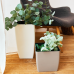 Flowerpot "Quadro" with insert 16x16x30cm (white rose)