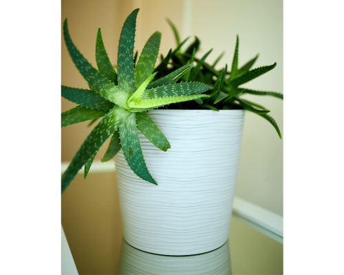 Flowerpot "Fusion" with insert low d36x34cm (white)