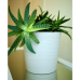 Flowerpot "Fusion" with insert low d36x34cm (white)