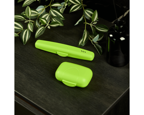 Travel tooth brush case (olive)