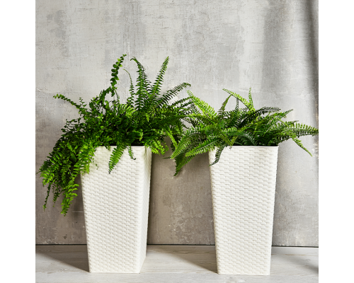 Flowerpot "Rattan" square with insert 27x27x51cm (white rose)