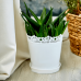 Flowerpot "Richelieu" 17cm (white)