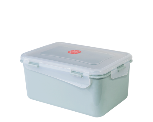 Universal container "Fiesta" rectangular 2,5L (segebrush / transparent)