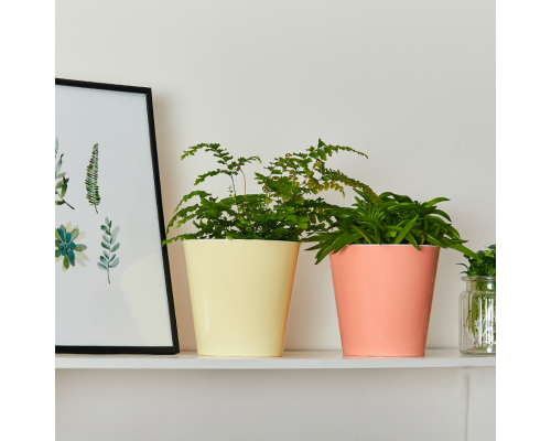 Flowerpot "Deco" with insert 16x15,5cm (apricot / white)