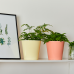 Flowerpot "Deco" with insert 16x15,5cm (apricot / white)