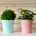 Flowerpot "Deco" with insert 16x15,5cm (apricot / white)