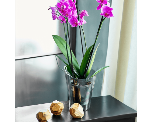 Flowerpot "Nika" for orchids 16x19cm (gray pearl)