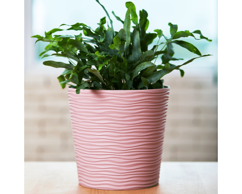 Flowerpot "Fusion" with insert low d12x11cm (freesia)