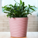 Flowerpot "Fusion" with insert low d12x11cm (freesia)
