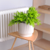 Flowerpot "Oslo" with insert d30cm (white rose WOOD)