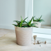 Flowerpot "Fusion" with insert low d30x28,5cm (white rose)