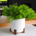 Flowerpot "Oslo" with insert and decorative stand d12cm (white)