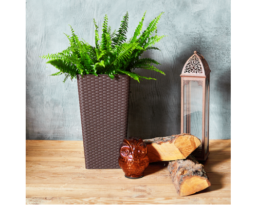Flowerpot "Rattan" square with insert 22x22x41,5cm (dark brown)