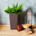 Flowerpot "Rattan" square with insert 22x22x41,5cm (dark brown)