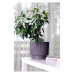 Flowerpot "Oslo" with insert d30cm (granite WOOD)