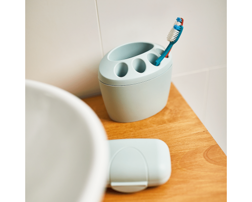 Toothbrush holder (segebrush)