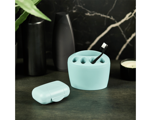 Toothbrush holder (segebrush)