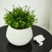 Flowerpot "Boho" low d18cm (white rose)