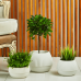 Flowerpot "Boho" low d18cm (white rose)