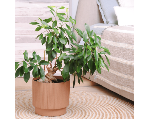 Flowerpot "Oslo" with insert d30cm (caramel WOOD)