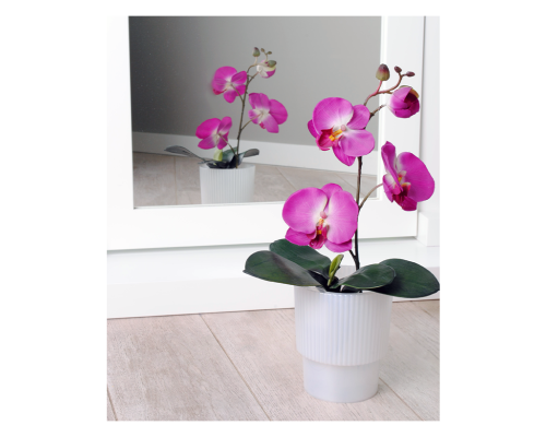 Вазон "Стелла" для орхідей з дренажем 16*18,5см. (біла перлина) Вазон "Стелла" для орхідей з дренажем 16*18,5см. (біла перлина)