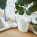 Soap dish set (white rose)