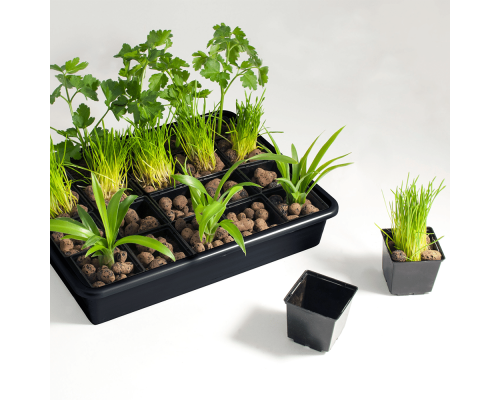 Set for seedlings (black)