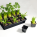 Set for seedlings (black)
