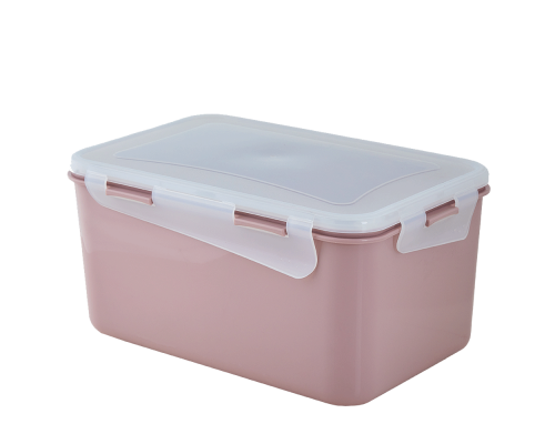 Universal container "Fiesta" rectangular 2,5L (freesia / transparent)