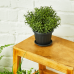Flowerpot "Terra" with tray 40x30cm (granite)