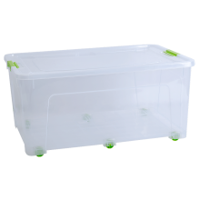 Container "Smart Box" 50L (transparent / olive)