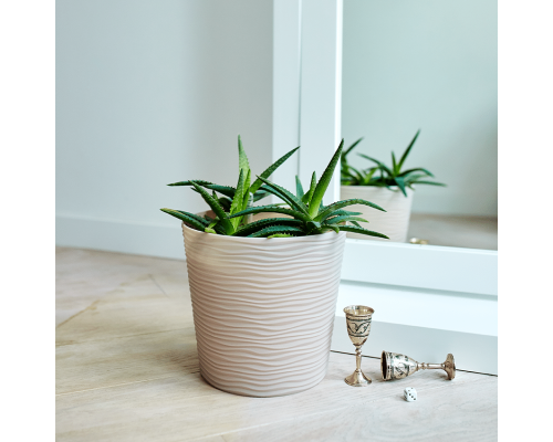 Flowerpot "Fusion" with insert low d12x11cm (white rose)