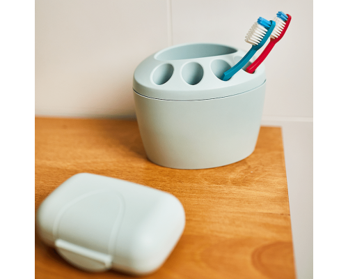 Traveling soap dish (segebrush)
