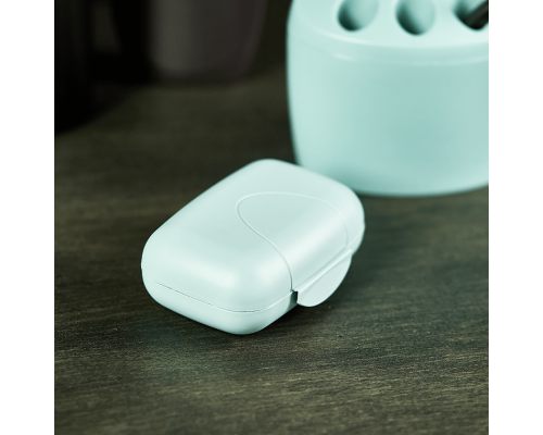 Traveling soap dish (segebrush)