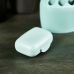 Traveling soap dish (segebrush)