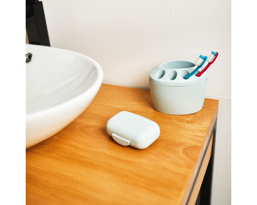 Traveling soap dish (segebrush)