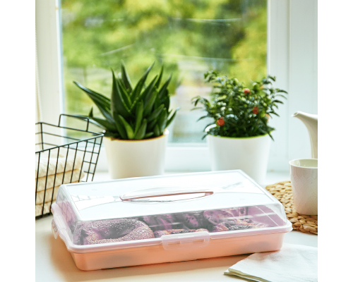 Тортівниця прямокутна (/фрезія/пр.)