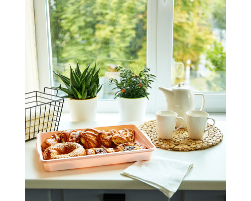 Тортівниця прямокутна (/фрезія/пр.)