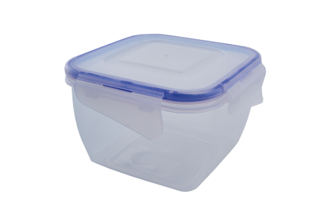 Food storage container with clips square
