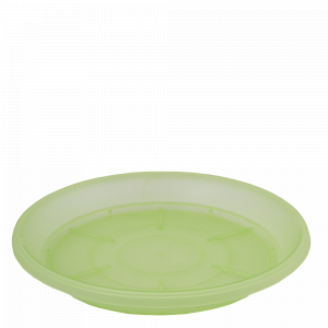 Tray for drainage 18,0x13,5cm. (light green transparent)