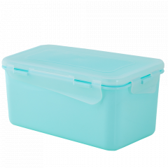Universal container "Fiesta" rectangular 0,65L. (light green / transparent)
