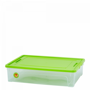Container "Smart Box"  3,8L. "Practice" (transparent / olive / olive)