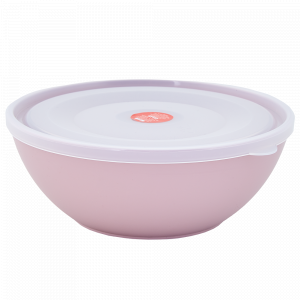 Bowl with lid 0,8L. (freesia / transparent)