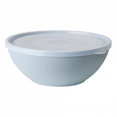 Bowl with lid 0,8L. (segebrush / transparent)