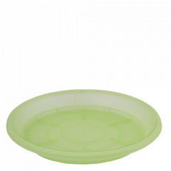 Tray for drainage 12,0x 9,0cm. (light green transparent)